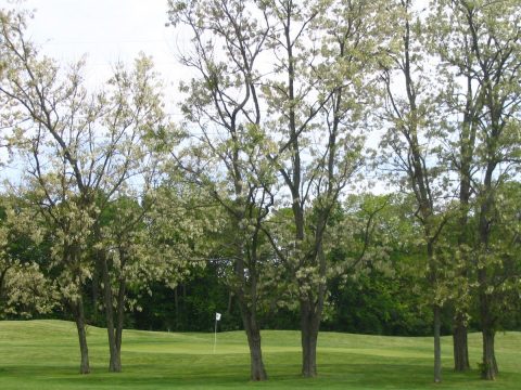 Course Photos Winding River
